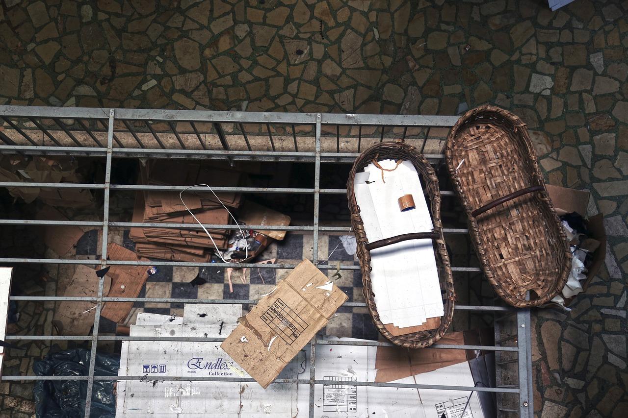 Furthermore, nutrition plays a critical role in athletic performance, and